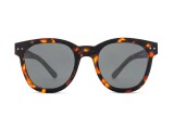 Izipizi Sun #N Tortoise 26361